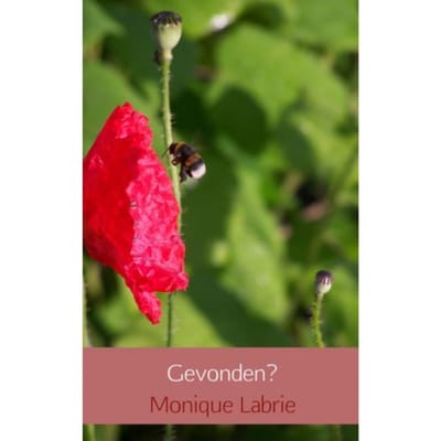 Gevonden? - Monique Labrie