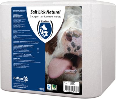 Excellent Liksteen Naturel 10 kg - Liksteen schaap - Liksteen koe - 100% puur rotszout - Geschikt voor paarden, rundvee en schapen