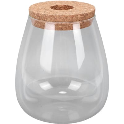 Vase Récipient Hydroponique Terrarium en Verre pour Bureaux Maisons Décorations de Jardin Maison Ovale white