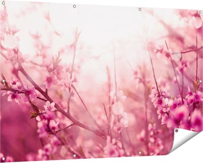Gards Tuinposter Roze Bloesemboom met Zonneschijn - 150x100 cm - Tuindoek - Tuindecoratie - Wanddecoratie buiten - Tuinschilderij