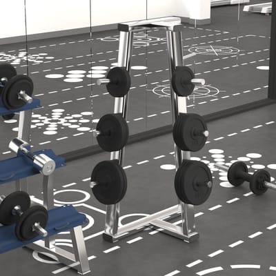 vidaXL - Halterschijven - 6 - st - 30 - kg - gietijzer