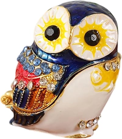 Sieraden Organisator - Uil Doosje - Sieraden Opbergen - Decoratief Ontwerp - Niet Gespecificeerd - Blauw