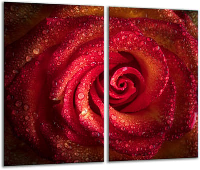 TMK ArtDeko Roos - Snijplank - 30x52cm - Glazen Beschermplaat - Inductiekookplaat