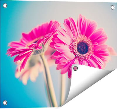 Gards Tuinposter Twee Roze Anjers - Bloemen - 50x40 cm - Tuindoek - Tuindecoratie - Wanddecoratie buiten - Tuinschilderij