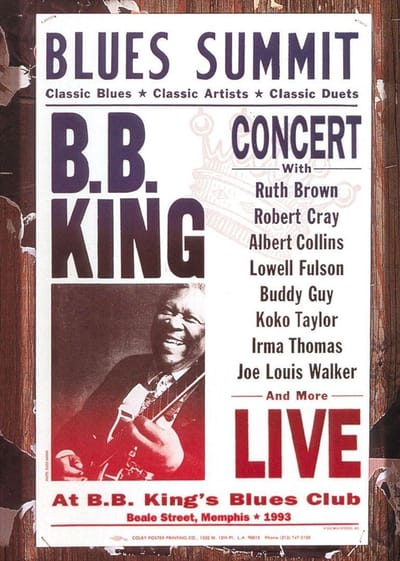BB King - Blues Summit Concert