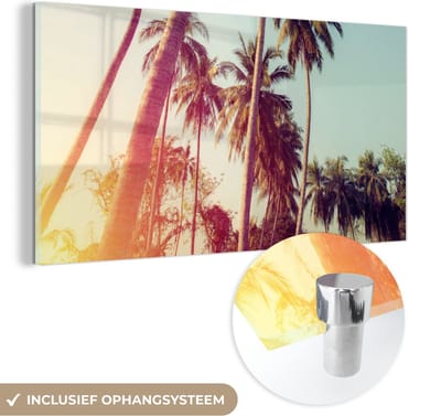 MuchoWow® Glasschilderij 40x20 cm - Schilderij acrylglas - Palmboom - Zomer - Retro - Zon - Foto op glas - Schilderijen