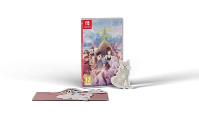 Last Time I Saw You - Standard Edition - Nintendo Switch versie
