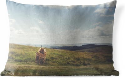 Buitenkussens - Tuin - Natuurgebied met Schotse hooglanders - 50x30 cm