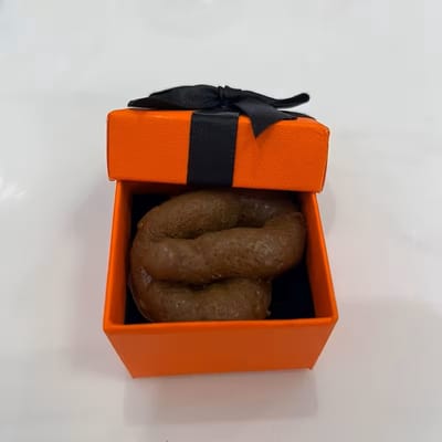 Prank Cadeaudoosje met Nep Ontlasting – Grappig Verrassingscadeau – Geschikt voor Verjaardag, Kerst & Halloween