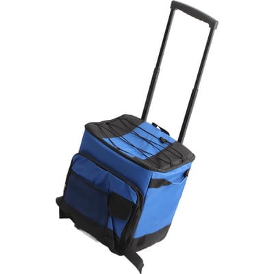 Rolkoelbox 35L Oxford Doek Aluminiumfolie Waterdicht Anti-Lek Draagbare Rolkoeltas