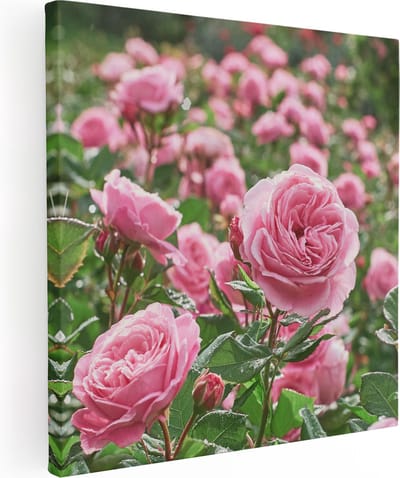 Artaza Canvas Schilderij Bloemen - 30x30 cm - Klein - Wanddecoratie Woonkamer - Muurdecoratie Rozen - Kamer Accessoires Stilleven