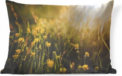 Sierkussens - Kussen - Close-up van bloemen tijdens zonsopkomst - 60x40 cm - Kussen van katoen