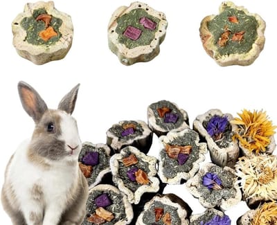 Konijnenspeelgoed Papayenhout - Knaagdier Kauwspeelgoed Tandverzorging - Tanden Slijpen - Natuurlijk Papaja Hout - 100 g - Natuurlijk