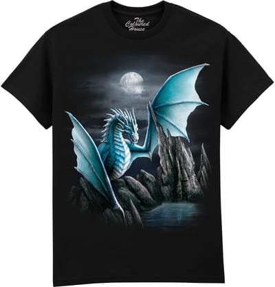 Draak Cameron Dragon The Coloured House T-shirt M