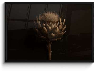Poster in lijst - Fotolijst 90x60 cm - Posters - Donkerbruin - Bloem - Textuur - Artisjok - Posterlijst zwart - Decoratie - Wanddecoratie woonkamer - Muurdecoratie slaapkamer