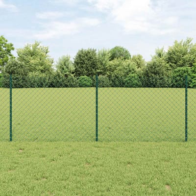 vidaXL - Gaashekwerk - met - paal - 10 - x - 0,8 - m - PVC-Coated - Staal - Groen - Mesh