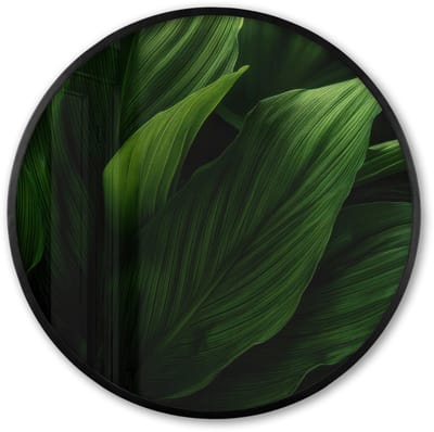 Poster in lijst Rond - Fotolijst 60x60 cm - Posters - Bladeren - Schaduw - Groen - Textuur - Ronde posterlijst zwart - Decoratie - Wanddecoratie woonkamer - Muurdecoratie slaapkamer