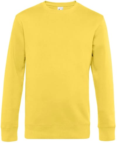 Sweater met ronde hals B&C King