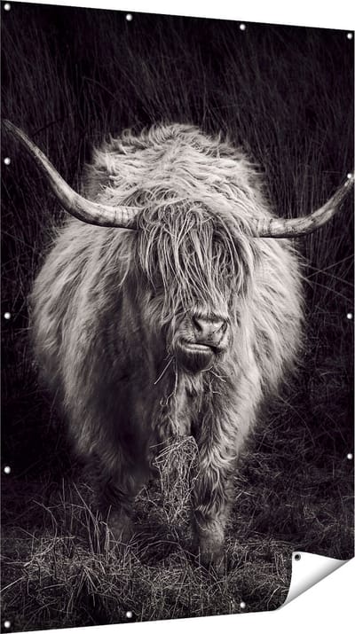Gards Tuinposter Schotse Hooglander Koe - Zwart Wit - 120x180 cm - Tuindoek - Tuindecoratie - Wanddecoratie buiten - Tuinschilderij