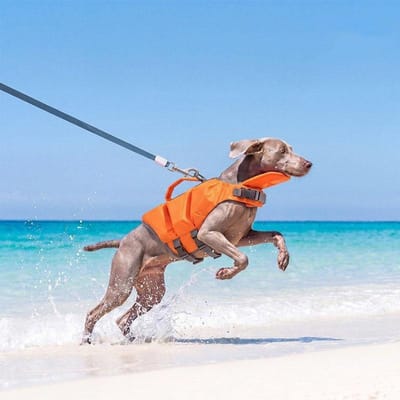 Gilet de sauvetage pour chien/chat d'été EPE Gilet flottant Portable Super Grand Flottabilité Maillot de bain Vêtements pour chien de petite et moyenne taille (as the picture,S--2.5-5kg)