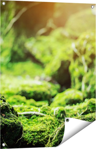 Gards Tuinposter Groen Mos Bedekt over Stenen - 60x80 cm - Tuindoek - Tuindecoratie - Wanddecoratie buiten - Tuinschilderij