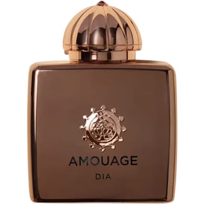 Amouage Dia Woman 100 ml Eau de Parfum Spray