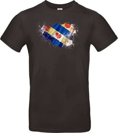 T- shirt zwart met opdruk oude Fryslân vlag maat S van Shirtmakelaar
