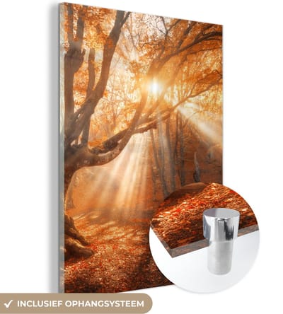 MuchoWow® Glasschilderij 30x40 cm - Schilderij acrylglas - Boom - Natuur - Herfst - Foto op glas - Schilderijen