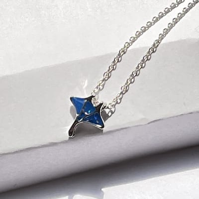 GoedeDoelen.Shop | Ketting Rog | Adelaarsrog | Oceans Project | Ocean Clean Up | Statement Ketting | Dierenliefde | Wellness-House