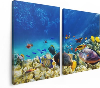 Artaza Canvas Schilderij Tweeluik Vissen in de Oceaan met Koralen - 120x80 - Foto Op Canvas - Canvas Print