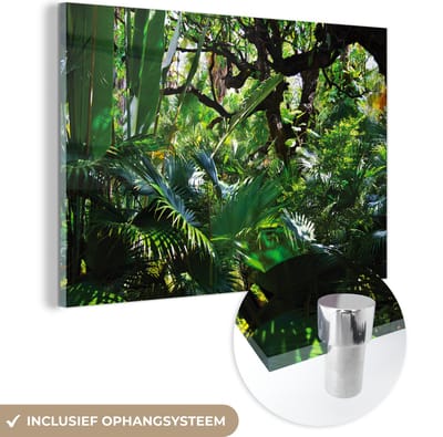 ® Glasschilderij 180x120 cm - Schilderij acrylglas - Prachtige patronen van bladeren en bomen in een regenwoud - Foto op glas - Muurdecoratie woonkamer - Wanddecoratie slaapkamer - Schilderijen