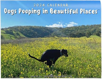 Dailygoods - Kalender 2024, Pooping Dogs kalender, hondenkalender, hondenkalender voor honden die op mooie plaatsen poepen