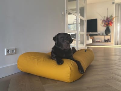 Dog's Companion - Hondenkussen / Hondenbed okergeel - S - 70x50cm