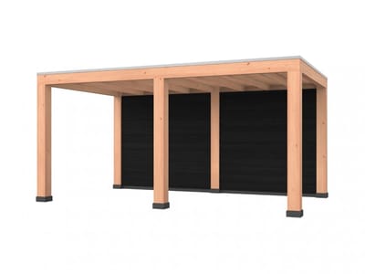 Douglas overkapping, 500 x 300, met achterwand, Westwood Modern Basic zwart