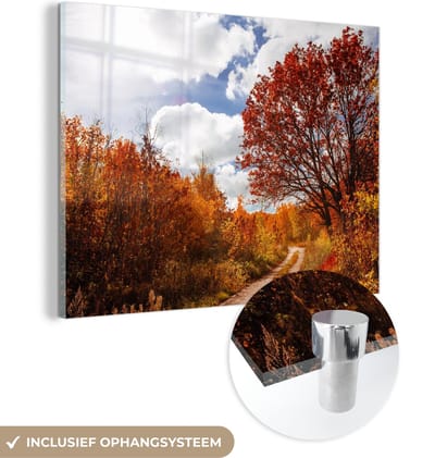 MuchoWow® Glasschilderij 120x90 cm - Schilderij acrylglas - Boom - Pad - Herfst - Foto op glas - Schilderijen