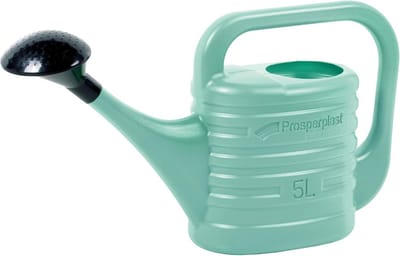 Grote Gieter met Sproeikop voor Binnen- en Buitenplanten (5 Liter)
