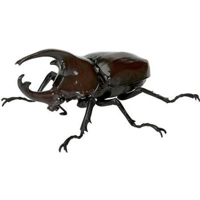 GACHA Ecologische Atlas BEELDje Kever 05 Dynastes Satanas Eenhoornkever ACTIEBEELD Model Speelgoed geweldig voor dagelijks gebruik 10 cm black