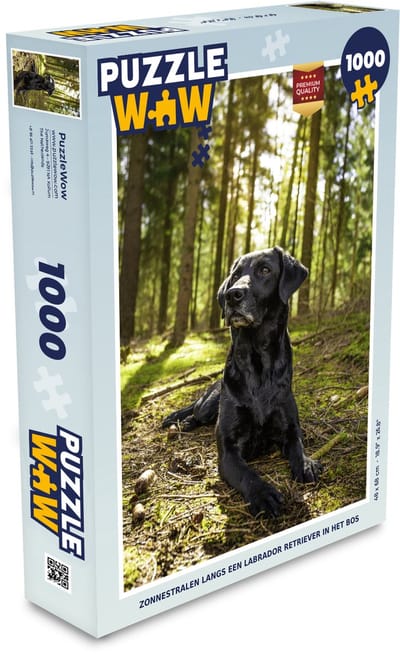 Puzzel Zonnestralen langs een Labrador Retriever in het bos - Legpuzzel - Puzzel 1000 stukjes volwassenen