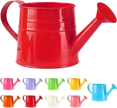 Kleine gieter voor kamerplanten – 1 liter – Compacte gieter – Metalen gieter voor tuin & balkon – Vintage stijl – Tuinaccessoire – Tuinsproeier – Gieter – IJzeren gietemmer - Gieter - 24,5 x 12 x 11,5 cm