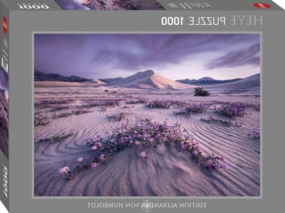 Puzzel 1000 Stukjes - Fotopuzzel Landschap - Ontspannend Tijdverdrijf - Stijlvolle Woestijnfoto - 1000 Stukjes - Zilver