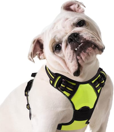 Hondentuig No Pull, Hondenharnas voor Middelgrote Honden, Verstelbare Harnas Hond met Reflecterend Strepen, Gewatteerd Zacht Ademend, Hondentuigje Anti-trek voor Wandelen Training, Groen M