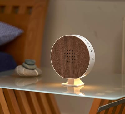 Lexium Vogelgeluiden Huisje met Sensor - Vogelgeluiden Huisje voor op Toilet - Vogelhuisje met Geluid - Singing Bird Box - Bewegingsmelder