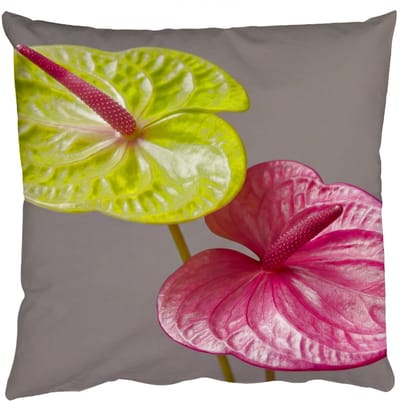 Sierkussens - Kussentjes Woonkamer - 50x50 cm - Planten - Anthurium - Groen - Roze