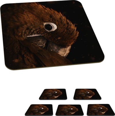 Onderzetters voor glazen - Papegaai - Oranje - Zwart - 10x10 cm - Glasonderzetters - 6 stuks