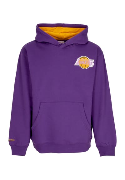 Herenhoodie Nba Premium Fleece Vintage Logo Hoodie Ervin Johnson Loslak Paars
