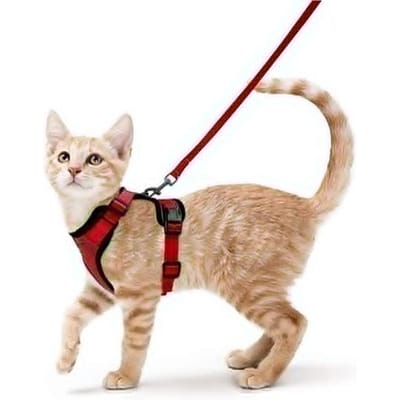 Kattenharnas en Lijn voor Wandelen, Ontsnappingsbestendig Zacht Verstelbaar Vest Harnessen voor Katten, Easycontrol (Red,XS（old）) rood