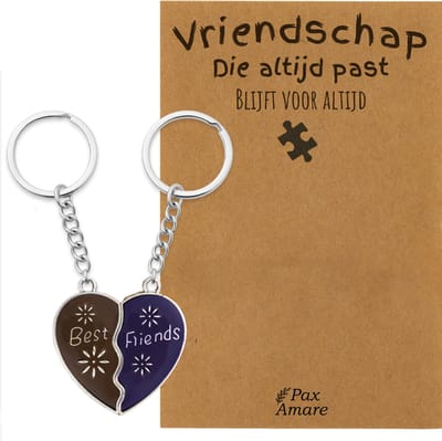 BFF Sleutelhanger voor 2 'Vriendschap die altijd past' - Magnetisch Hartje - VERANDERT VAN KLEUR! - Sleutelhanger set op Cadeau Kaartje - Zilverkleurig - Vriendschap Symbool - Pax Amare