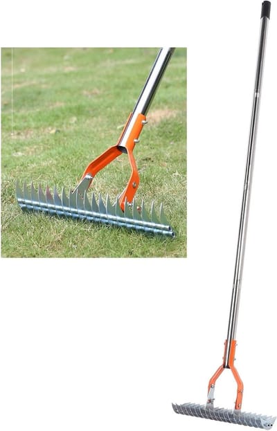 Vilthark Gazonhark - Gras hark Verticuteerhark - Gazon Onderhoud - Dubbelzijdige Tanden - 375 cm Breed - Zwart