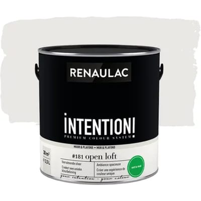 Renaulac Intention Muurverf - Extra Mat - Open Loft - 2,5l