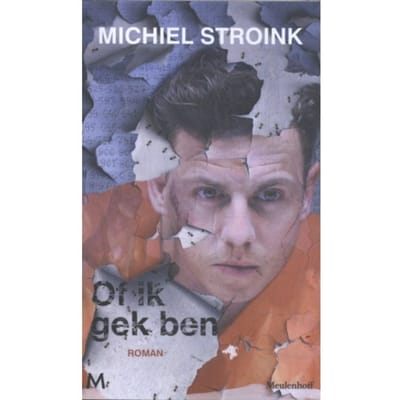 Of Ik Gek Ben - Michiel Stroink